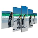 islandburner stampa su tela gruppo pinguini reali aptenodytes patagonico vai bianco sabbia a me immagini murali poster