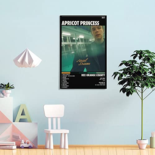 Poster Rex Orange County idée cadeau originale pour fan de pop indie - 4