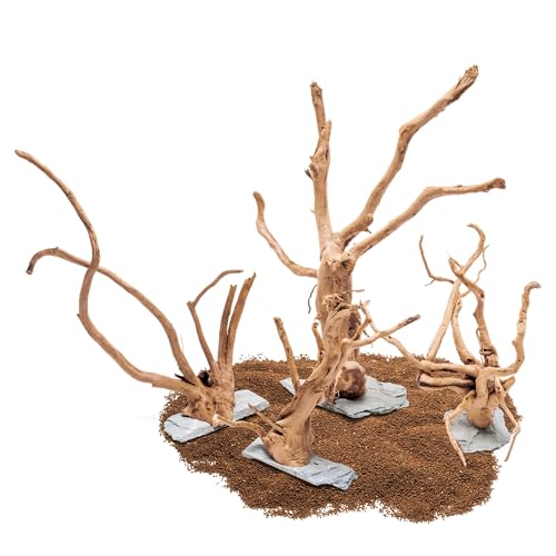 Ultum Nature Systems Driftwood - Spider Wood on Slate Stone for Fish Tank, Planted Tank, Terriarium, Paludarium - Versatile Natural Driftwood Decor - Spider Wood on Slate Stone, L 15-20", 5 Pack