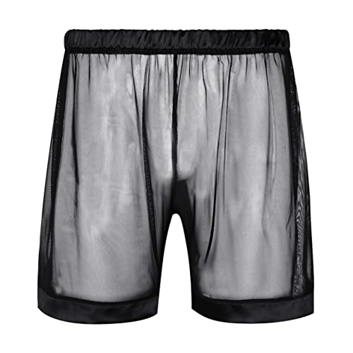 Men's See Through Shorts Mesh Loose Breathable Underwear Cover up Boxer Trunks3