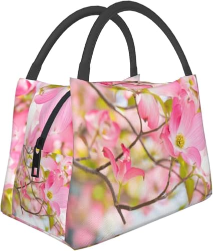 `obO g[gobO e ٓ  싅DLO `{bNX ٓ ۉobO |Pbgt V_[Xgbvt fM ٓ Hi[ ٓ ʋ ʊw jp