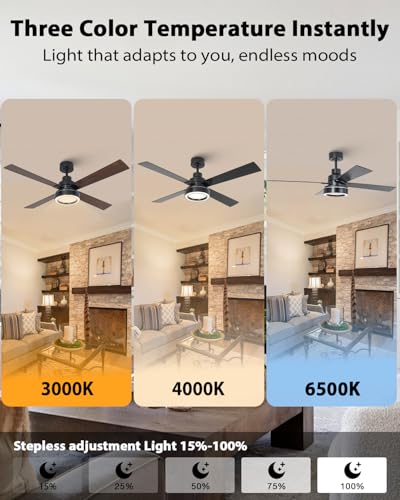Image of 52 Inch Black Ceiling Fan with Light and Smart Remote Control & App