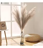 Amazon | Wisfor パンパスグラス 造花 大きい パンパス ドライフラワー