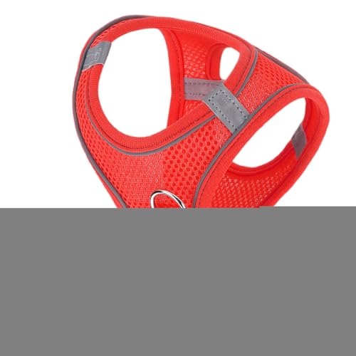 Fravsiu Eh~ Lpn[lX,Lbgn[lX [hZbg - q ^ ybgp xXg  Sg[jO U s nCLO obNpbN AEghA `p