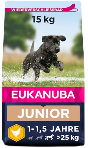 Eukanuba Hundefutter mit frischem Huhn für große Rassen, Premium Trockenfutter für Junior Hunde, 15 kg Eukanuba Hundefutter mit frischem Huhn für große Rassen, Premium Trockenfutter für Junior Hunde, 15 kg