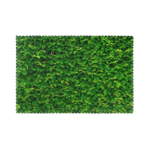 Sets de table polyester lavables 30,5x45,7cm imprimé feuilles vertes x6 - 2