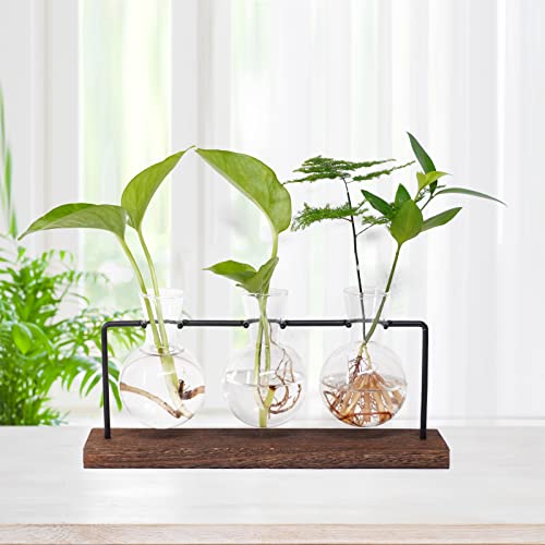 Jo. Devivre Plant Propagation Station, Plant Terrarium,Desktop Glass Vase,Glass Planter With Wood Stand,Centerpiece,For Hydroponics Plants Home Office Garden Décor #TOP1