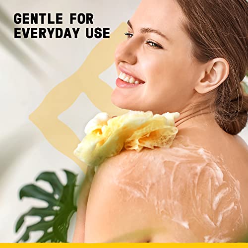Image of Alaffia Body Wash, EveryDay Coconut - Purely Coconut Gentle Skin Cleanser for Normal to Dry Skin, 32 Oz
