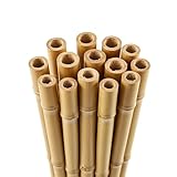 Blado Thick Bamboo Canes - Heavy Duty, Natural Garden Stakes, Strong Bamboo Sticks for Plant Support - Ideal for Gardens, Balconies, Patios, and Outdoor Spaces 2FT,3FT,4FT,5FT,6FT (10, 2ft, 6-8mm)