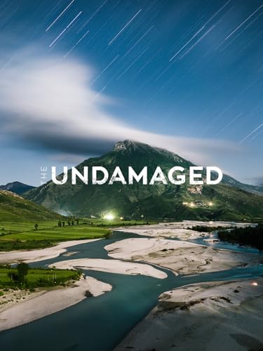  The Undamaged