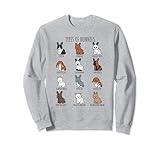 Découvrez le monde des lapins avec notre design « Types de lapins », un joli mélange de néerlandais, nain néerlandais, mini Rex, Californien, English Lop, English Spots, French Lop, Flamand Giant, English Angora et Lionhead.