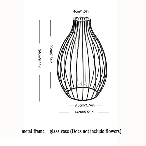 QYLJZB Metal Stand, Hydroponic Glass Vases, Glass Flower Vase with Lantern Shape, Metal Vase for Office Home, Wedding Decoration, Black - Image 3