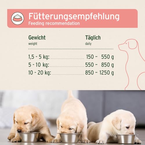 AniForte Hundefutter Nass Junior Rind 6 x 400g – Natürliches Nassfutter für Welpen, Junghunde im Wachstum, hoher Fleischanteil, Premium Welpennassfutter getreidefrei