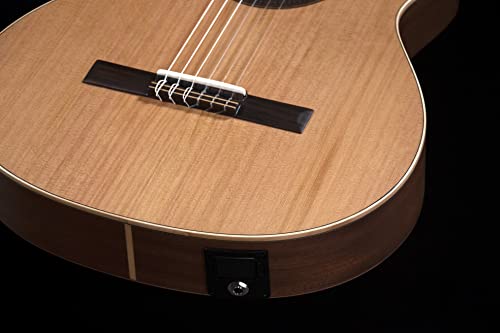 Prodipe Guitare classique à 6 cordes (Égaliseur étudiant). - Les Beatles, Paul McCartney, John Lennon, RIngo Starr, George Harrison Prodipe Guitare classique à 6 cordes (Égaliseur étudiant). – Image 5