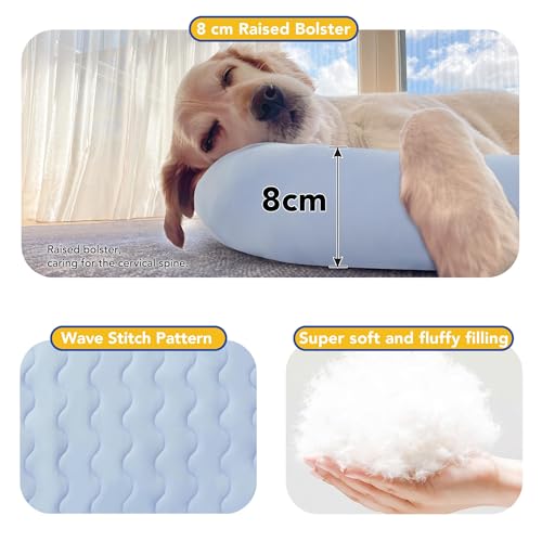 PETNOVO Kühlmatte für Hunde selbstkühlende Hundematte Sommer Kühlkissen, Hundematte für zuhause oder Außenbereich Leicht und tragbar, 73x53x8cm, Hellblau