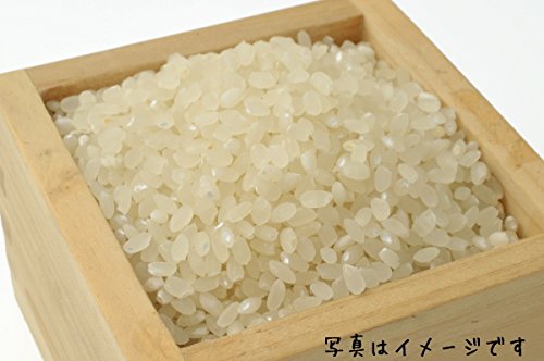 Amazon.co.jp: 【精米】茨城県産 コシヒカリ 白米2kg 令和7年産 : 食品