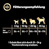 Cesar Natural Goodness Premium Hunde Nassfutter in der Schale Getreidefrei mit Superfoods in 4 Varietäten Megapack 24x100g