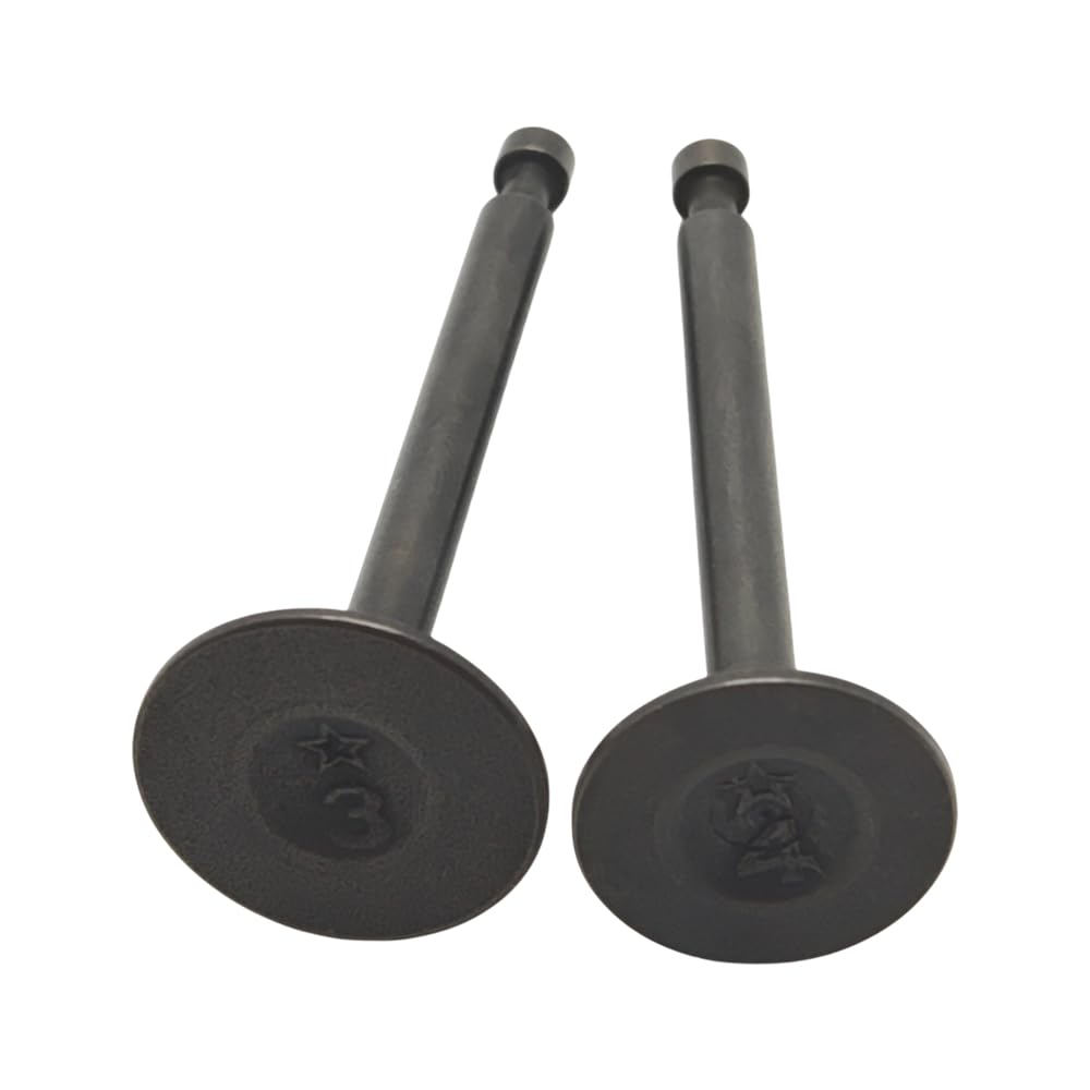 Per Trimmer Ingresso di Aspirazione per la Molla Fermo Stelo Kit Blocco Tenuta Per Honda GX35 GX35NT HHT35S Decespugliatore Gas Piccolo Motore