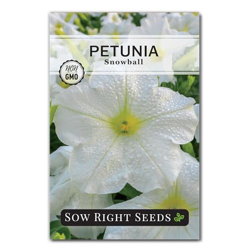Sow Right Seeds - Snowball Petunia Seeds for Planting Outdoors - Non-GMO Heirloom Variety - Dwarf Flower - Easy to Grow White Petunias - Ideal for Flower Beds, Garden Borders, Containers (1)