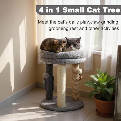 MECOOL 4in1 Small Cat Tree,Scratching Post with Tower Soft Bed, Sisal Carpet Jute Posts with Three Hanging Ball Toys and Massage Brush for Indoor Cats and Kittens - Image 2