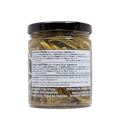 Wild Pickled Fiddleheads (Hot | 250ml - 8oz) | Local | West Coast Wild Foods