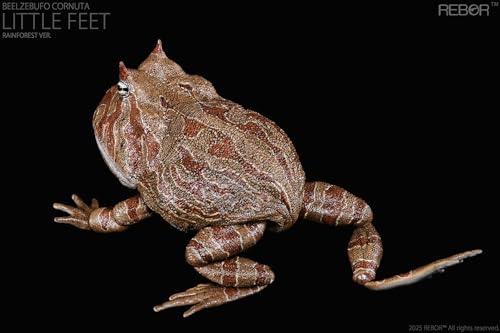 Beelzebufo Ampinga figurine grenouille 1:2 de collection AMITD - 6