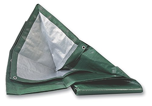 Preisvergleich Produktbild Windhager 06442 Schutz-Plane GeoTex 10 x 12 m, silber / grün