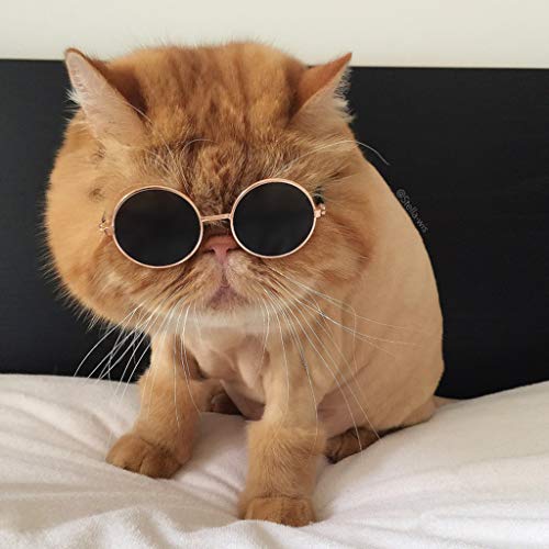 PULABO Óculos de Sol para Animais de Estimação Pequenos Gatos Óculos de Sol Universal Protetor para