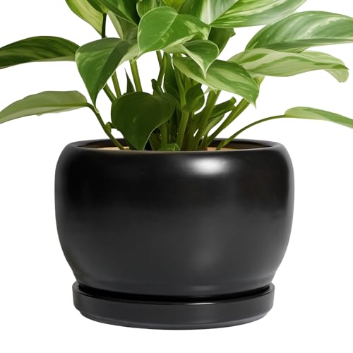 SQOWL Ceramic Plant Pots - 8 Inch Planter Indoor, Round Flower Pot with Drainage Hole and Saucer, Modern Outdoor Planter, Apartment Decor, Gifts for Plant Lovers, Black