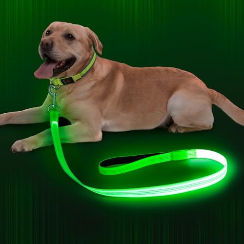 Dlitk LED  [h  U CghbO[h 1.2m Px 郊[h F500m USB [d ybgp ԈS U ^ ^ (O[, 120 cm)