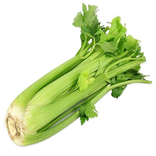 Souk On Wheels Fresh Celery UAE, 500g 1pc Fruits Vegetables Grade 1
