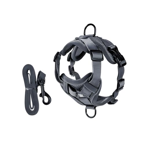 Soft Substance Pet Harness Pressure Complimentary Comfort 3D Net Plan Wrap Feeling Tight Any Activity Sandwich Net Rope