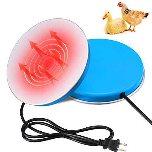 Best Poultry Fount Heater 2022 Where to Buy?