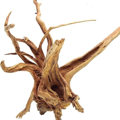 Image of Jorewood Natural Large Spiderwood Driftwood for Aquarium Decor Rptile Fish Tank Decoration Assort Branch 13-16'' Pack of 1
