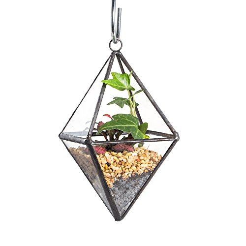 NCYP Mini Clear Glass Octahedron Shape Diamond Geometric Air Plant Terrarium Wall Hanging Pot Planter Vase Side Length 3x3.5inches (5.9 inches with Loop), No Plants Included