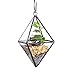 NCYP Mini Clear Glass Octahedron Shape Diamond Geometric Air Plant Terrarium Wall Hanging Pot Planter Vase Side Length 3x3.5inches (5.9 inches with Loop)