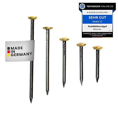 RIKAMA Steel Nails with Brass Head 6 mm Diameter 20 x 20 mm, 25 mm, 30 mm, 40 mm, 50 mm, for Use on Concrete Brick