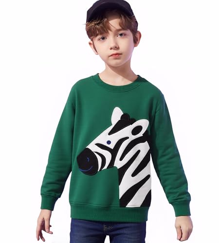 Image of Popshion Toddler Boys Sweatshirt Cotton Lightweight Kids Winter Warm Sweater Crewneck Pullover Tops