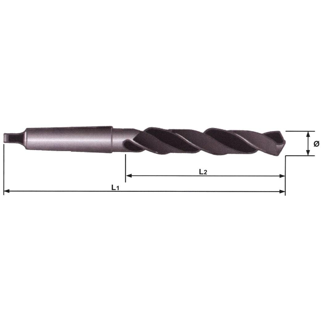 FORETS CONE MORSE - conemorse : FORET DE 25