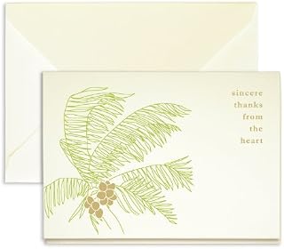 Merchants Palm Tree Thank You Cards - Pack of 24-5" x 3.5"