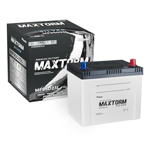 J[obe[ g^ Ή }[NXWI H19N9-H22N7 DBA-ANA10 2400cc/Vԑobe[TCYvmF/[dVXeڎ/ndl KQl }bNXg[ MAXTORM Vo[ SILVER MF95D2