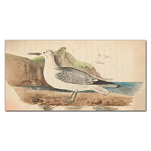 Tableau en verre 100x50cm dessin oiseaux panoramique pour décoration