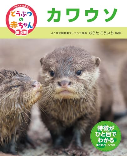 カワウソ (くらべてみよう!どうぶつの赤ちゃん)のサムネイル