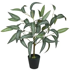 Willow Eucalyptus Leaf