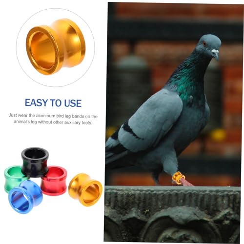 FUOYLOO 20 Peças Pulseira De Anel De Pé De Pombo Suprimentos Suporte De Charme Suporte De Pulseira S