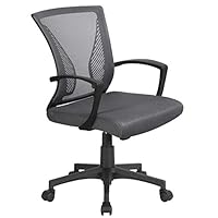 Yaheetech Dark Grey Office Executive Computer Chair Ergonomic Swivel Chair with Comfy Lumbar Back Support and Wheels for Home Students Study