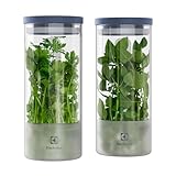 Electrolux Kit 2 Potes Herméticos de Vidro para Temperos Frescos e Hortaliças