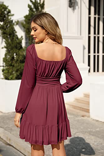 Wenrine Women's Mesh Long Sleeve Square Neck Dress High Waist A Line Ruffle Hem Flowy Casual Party Mini Dress4