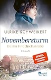 nationalsozialistische literatur vertreter  Berlin Friedrichstraße: Novembersturm (Friedrichstraßensaga 1)
