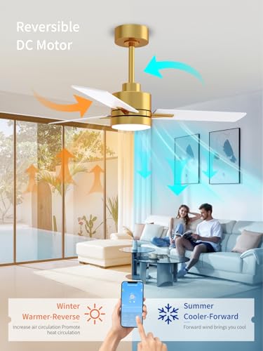 Image of LANMEL 42'' Ceiling Fan with Lights and Remote, Low Profile Modern Ceiling Fan Gold, 6 Speed, Reversible, 3000k-6000k LED, Quiet DC Motor for Indoor Outdoor Bedroom Living Room